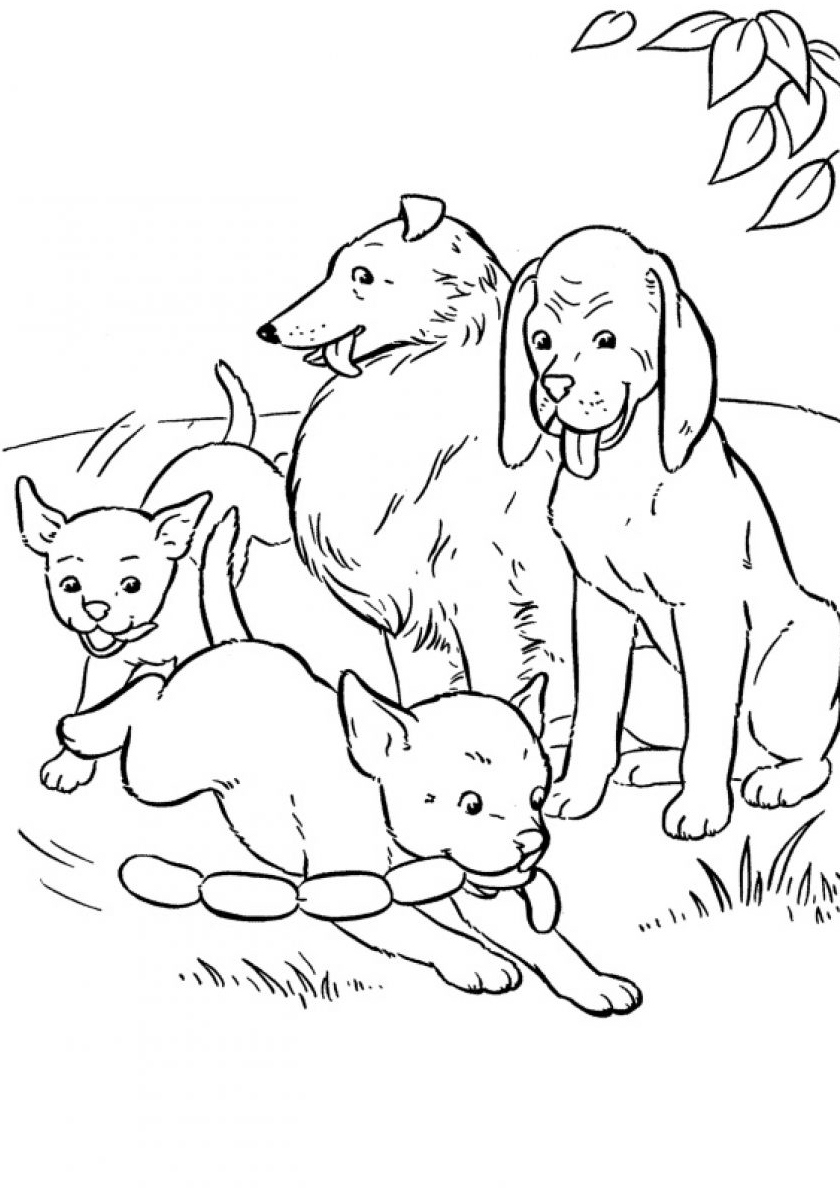 Картинки раскраски собаки и щенки